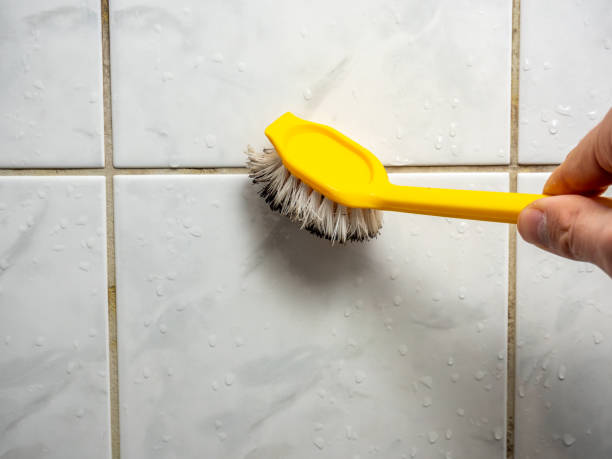 Best Residential Mold Remediation in Liberty, SC