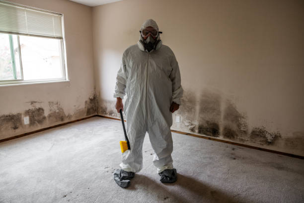 Best Industrial Mold Remediation in Liberty, SC